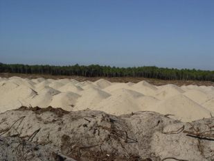 Fotos da praia de Mira, tomadas hai un ano (clique para ampliar)