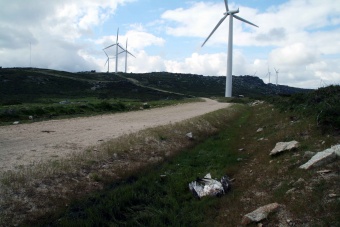 Lugar onde foi topada a aguia morta